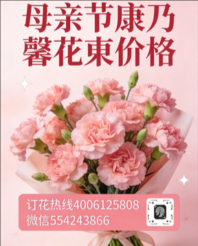 大连中山区花店母亲节康乃馨花束